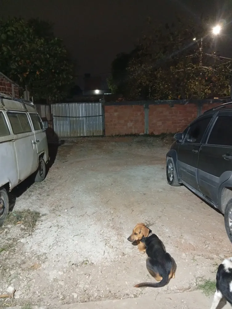 Foto de Cliente verificado