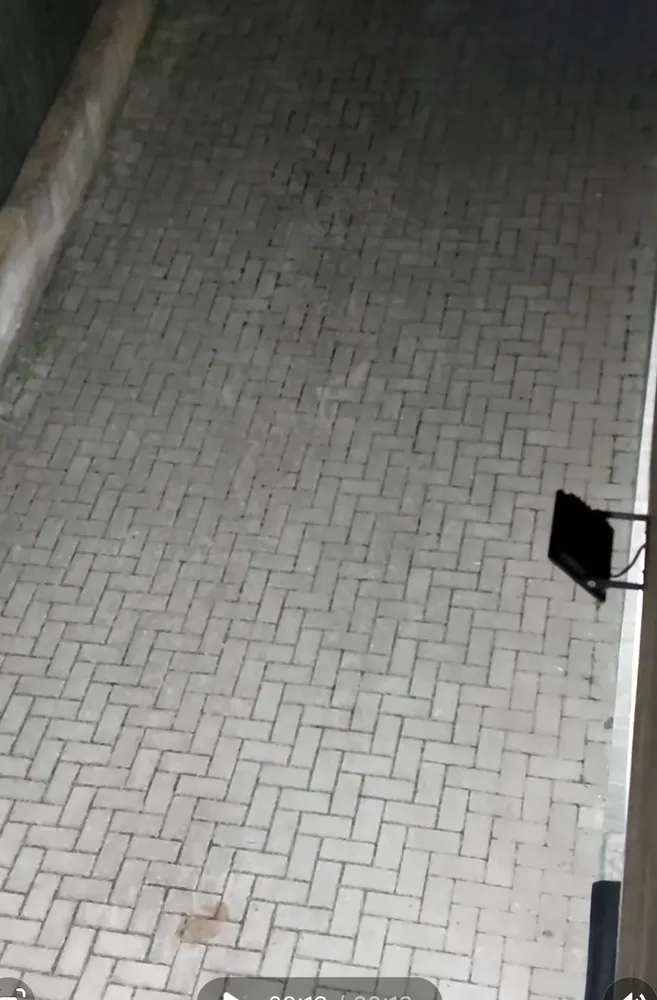 Foto de Cliente verificado